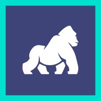 RillaFi logo - Similar company to Vaaji