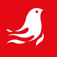 Bird Viagens logo - Similar company to Polyglot Minds