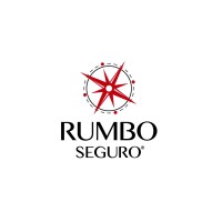 Rumbo Seguro | Asesores de Seguros logo - Similar company to Rumbos