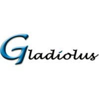 Gladiolus logo - Similar company to Samridhi Informatics Pvt. Ltd.
