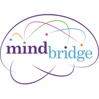 Mindbridge – Leadership Coaching – Applied Neuroscience – Management Consulting logo - Similar company to Thrive. The Growth Consultancy
