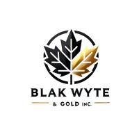 Blak Wyte & Gold Inc. logo - Similar company to Paddicode Tech Academy