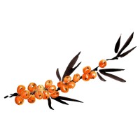 Omega Fruit - Sea buckthorn Products logo - Similar company to Andes Naturals