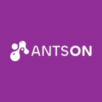 ANTSON logo - Similar company to Digital Claim