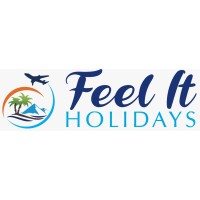 Feel It Holidays logo - Similar company to Back2Basics Consulting