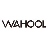 Wahool logo - Similar company to Ai Workflows