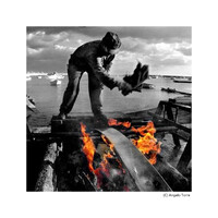 Studio Torre Angelo logo - Similar company to Lime Edizioni