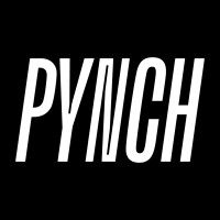 Pynch logo - Similar company to Pync