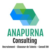 Anapurna logo - Similar company to Infiniteam
