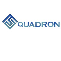 Tsquadron Digital Solutions logo - Similar company to Soch - One Stop Solution.