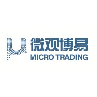 微观博易 Micro Trading logo - Similar company to Egret Quant