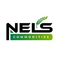 Nels Commodities Pty Ltd logo - Similar company to Mbuso We2 (Pty) Ltd