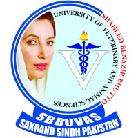 Shaheed Benazir Bhutto University of Veterinary & Animal Sciences logo - Similar company to Vwinglas