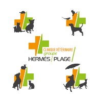 Groupe Vétérinaire Hermès-Plage / SAS DV.CO logo - Similar company to Caractère Imprimeur