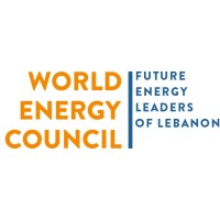 Future Energy Leaders of Lebanon logo - Similar company to Energy Management System