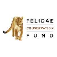Felidae Conservation Fund logo - Similar company to Cmis
