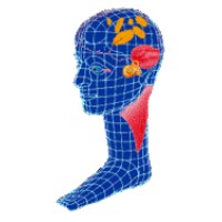 Société Internationale d'Otoneurologie logo - Similar company to Sffrv