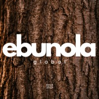 Ebunola Global Coaching logo - Similar company to Workmedia