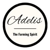 ADELIS logo - Similar company to Adelios