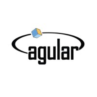 Agular Systems