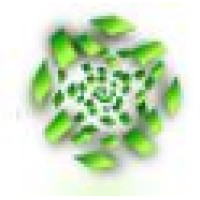 EQUIPO INNOVA logo - Similar company to Mtexpert