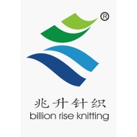 Billion Rise Knitting logo - Similar company to Shining Textile