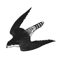 Tangmere logo - Similar company to Jetplane Ch
