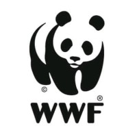 WWF-Paraguay logo - Similar company to Techo Paraguay