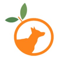 German Shepherd Rescue Of Orange County