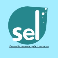 Service En Ligne logo - Similar company to Barcles Cameroun