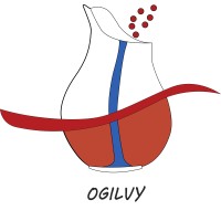 Ogilvy Chemical China Raw Material Optical Brightener Pigment TiO2 Supplier Manufacturer logo - Similar company to Parnchem - Industrial Raw Material Supplier