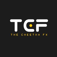 The Cheetah FX logo - Similar company to Robo 8 Digital Studio