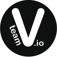 Team V i/o logo - Similar company to Wsoftpro