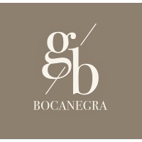 Bocanegra, Lawyers and Advisers logo - Similar company to Bocanegra Asset Management Lp
