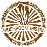 Mushroom Mistri - Heal with Meal logo - Similar company to The Startup Consultancy