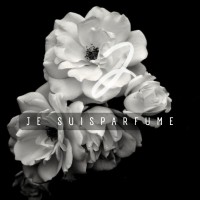 Je Suis Parfume logo - Similar company to Autent Parfume - Luxury Scincare & Fragrance