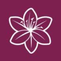 Lily Hospice logo - Similar company to Ntegrity Law