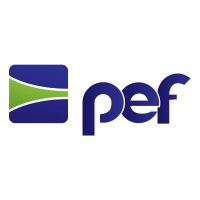 Pef Analysis logo - Similar company to Alton S.A.