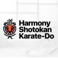 HSKD Martial Arts Academy logo - Similar company to Kurio 3D Compression