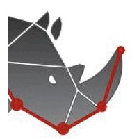 Rhino Analytics | Data Solutions logo - Similar company to Rhino Rewards