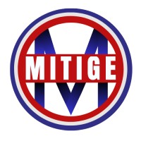 MITIGE, Intra-Department Fest logo - Similar company to Mercuriusdoc