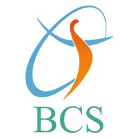 Baranwal Consultancy and Services logo - Similar company to Dasa Technologies