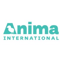 Anima International logo - Similar company to J7Play