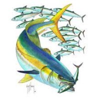 Yellowtail Ventures logo - Similar company to Viaspace Inc