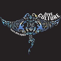 Dive Culture logo - Similar company to Mysmiley