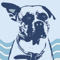 Dog Harbor Studios