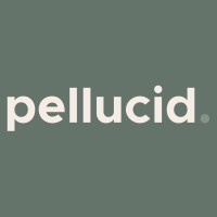 Pellucid Industries logo - Similar company to Squarcini Group