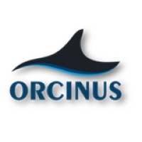 Orcinus Process Technologies Private Limited logo - Similar company to Dezinext Engineering Services Pvt. Ltd.