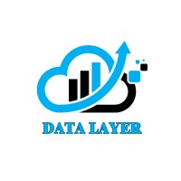 Data Layer Solutions logo - Similar company to Nextgen Tech Solutions Canberra