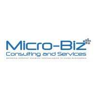 Micro-Biz Consulting & Services logo - Similar company to Microbiz Security Company